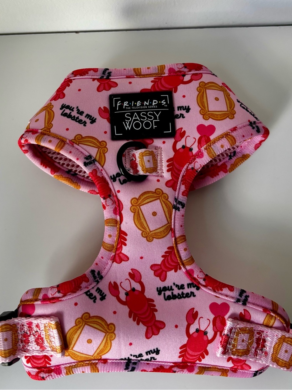 FRIENDS Sassy Woof Pink "You're My Lobster" Dog Harness size XS